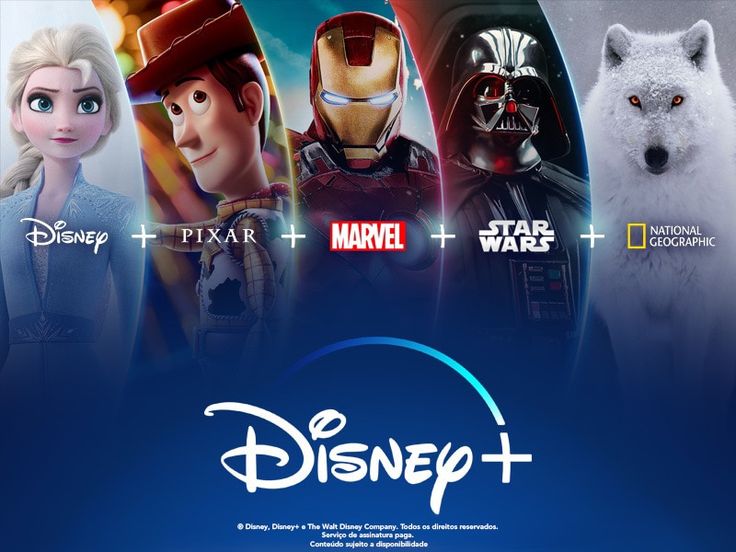 Abonnement Disney+ (Disneyplus) - Copartage
